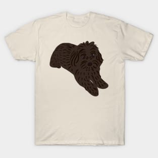 Maltipoo! T-Shirt